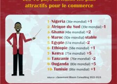 Les 10 pays africains les plus  attractifs pour le commerce