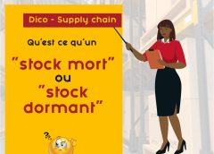 Dico Supply Chain : Qu’est ce qu’un stock mort ou dormant?