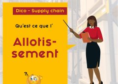 Dico Supply Chain : Allotissement