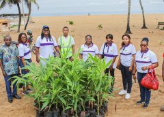 Journée Nationale de l’arbre, WiLAT – Togo fait un don de 100 cocotiers.