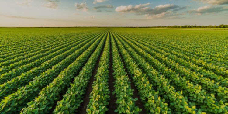 American Soybean Association Deepens Cooperation to Strengthen Aquaculture Trade with Nigeria