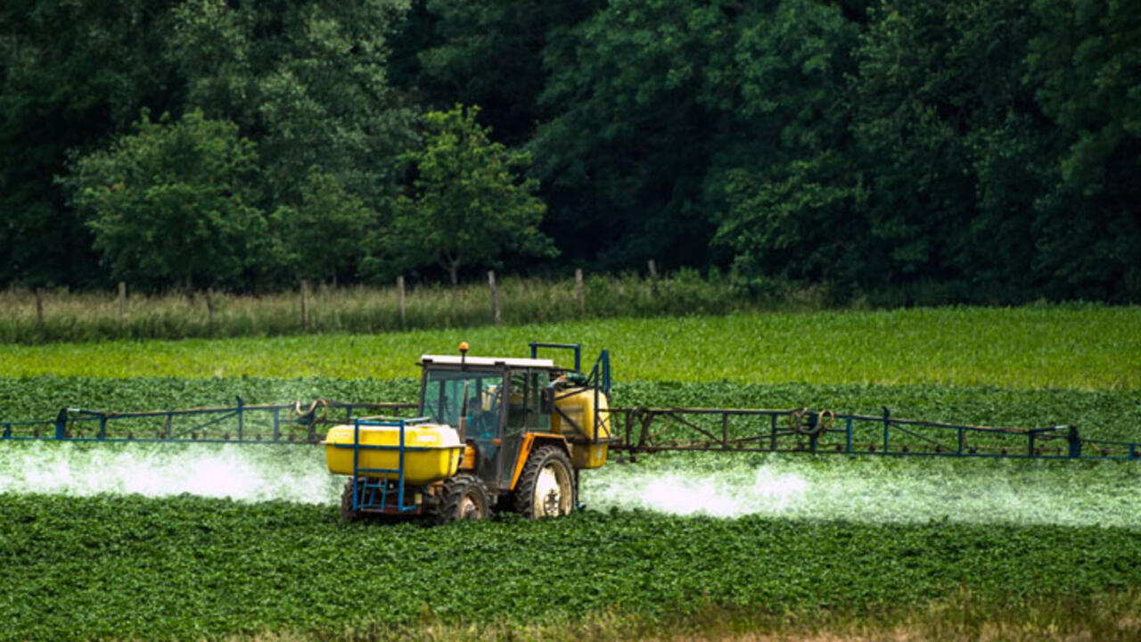 Les exportations de pesticides interdits par l’UE vers l’Afrique sous le feu des critiques