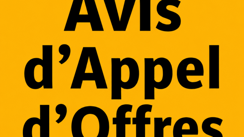 Congo – Avis d’Appel d’Offres pour la Fourniture d’un véhicule de lutte contre les incendies au Port Autonome de Pointe-Noire