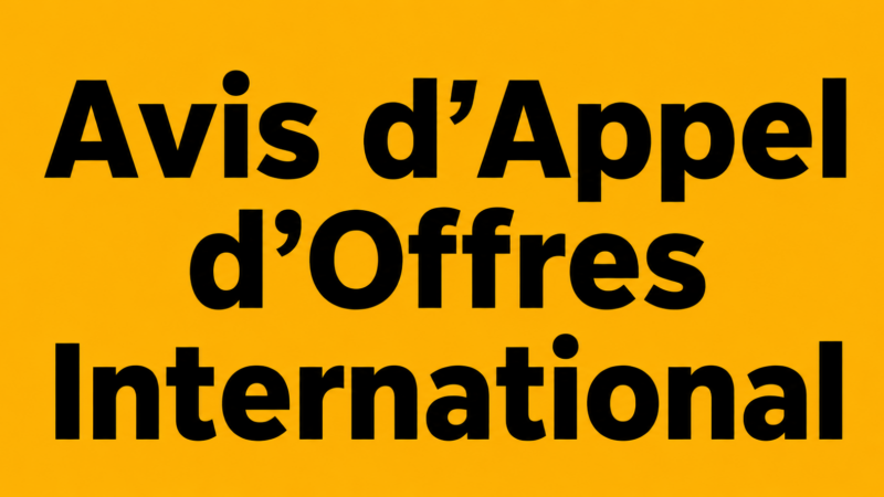 Congo – Avis d’Appel d’Offres International pour la Fourniture d’une vedette de Pilotage (Pilotine) au Port Autonome de Pointe-Noire