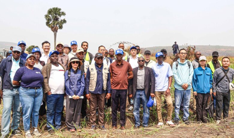 CEEAC advances Brazzaville–Kinshasa Road-Rail Bridge Project as Strategic Partner Selection Moves Forward