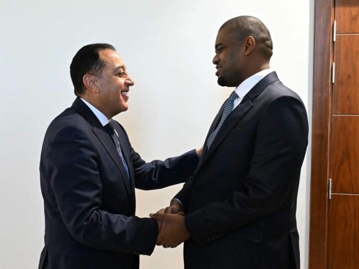 Tanzanie-Égypte : cap sur la modernisation des infrastructures portuaires et de transport à Dar es Salaam
