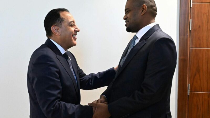 Tanzania-Egypt: Focus on Modernizing Port and Transport Infrastructure in Dar es Salaa