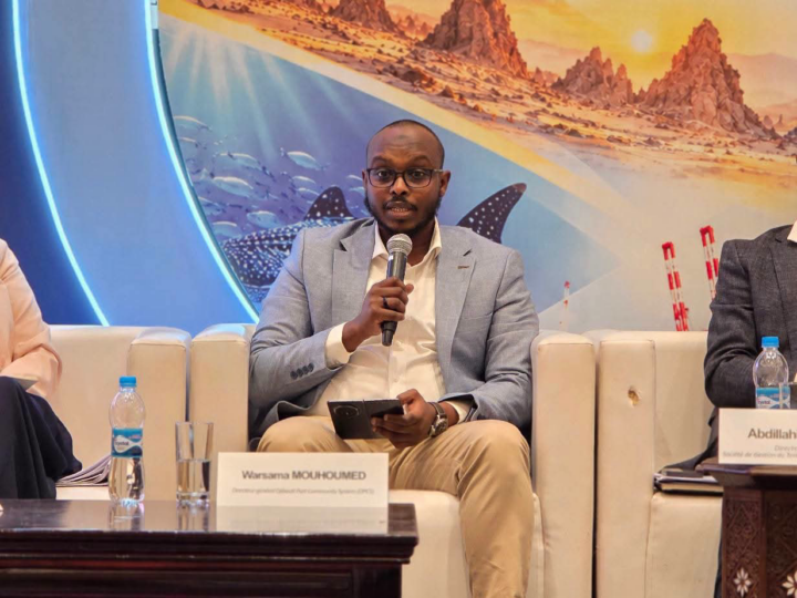 Djibouti mobilise les opérateurs francophones pour financer et digitaliser son hub portuaire